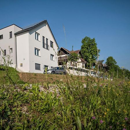 Vila Vernig Bled Eksteriør bilde