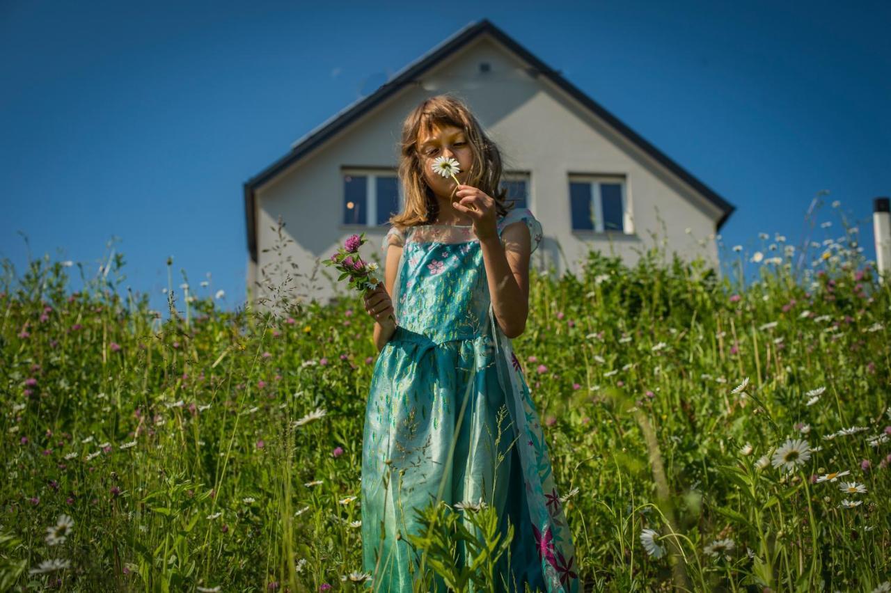 Vila Vernig Bled Eksteriør bilde